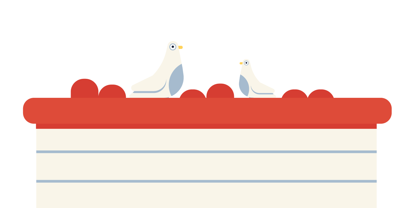 birds sitting on a roof