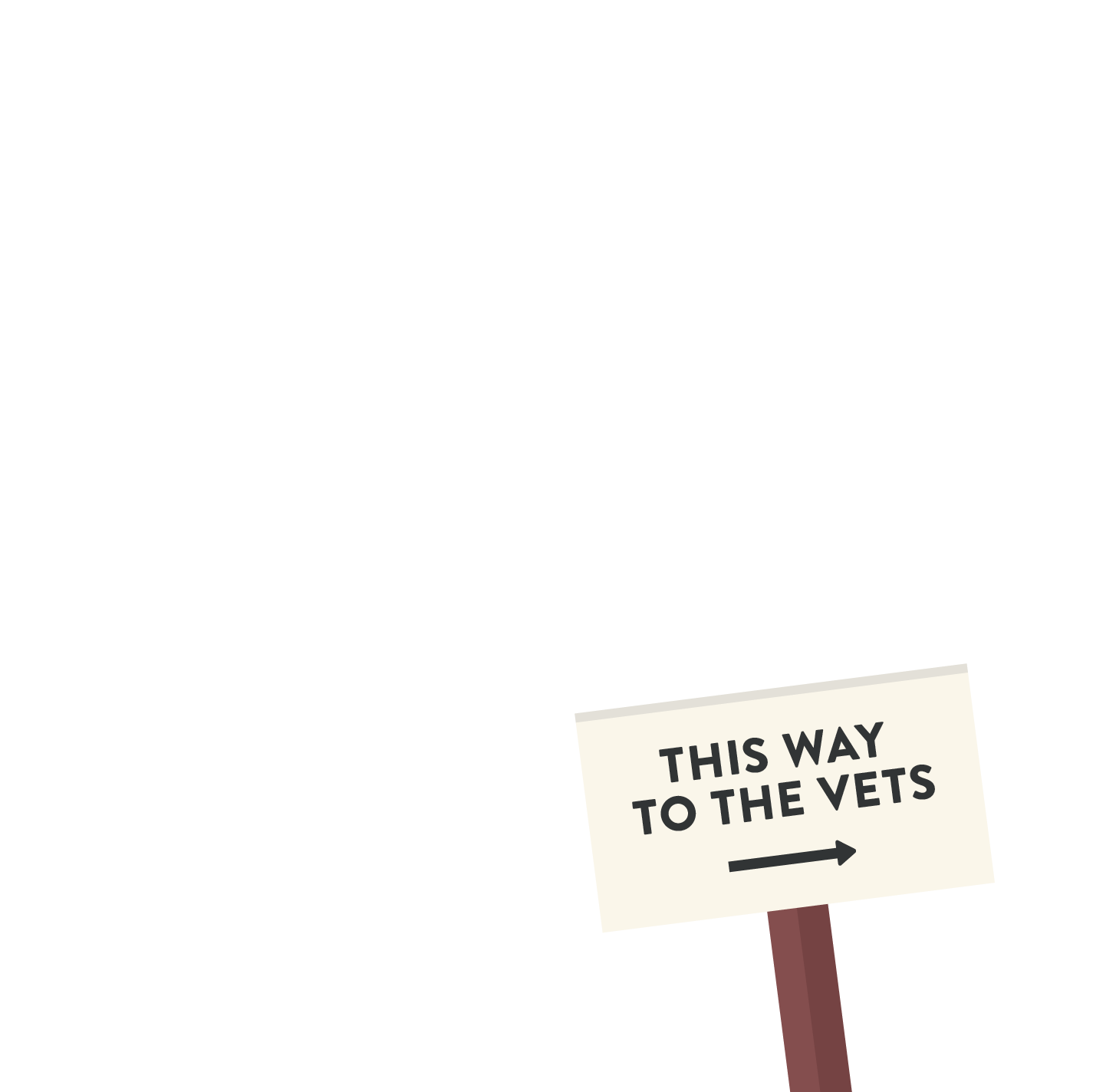 sign to the vets