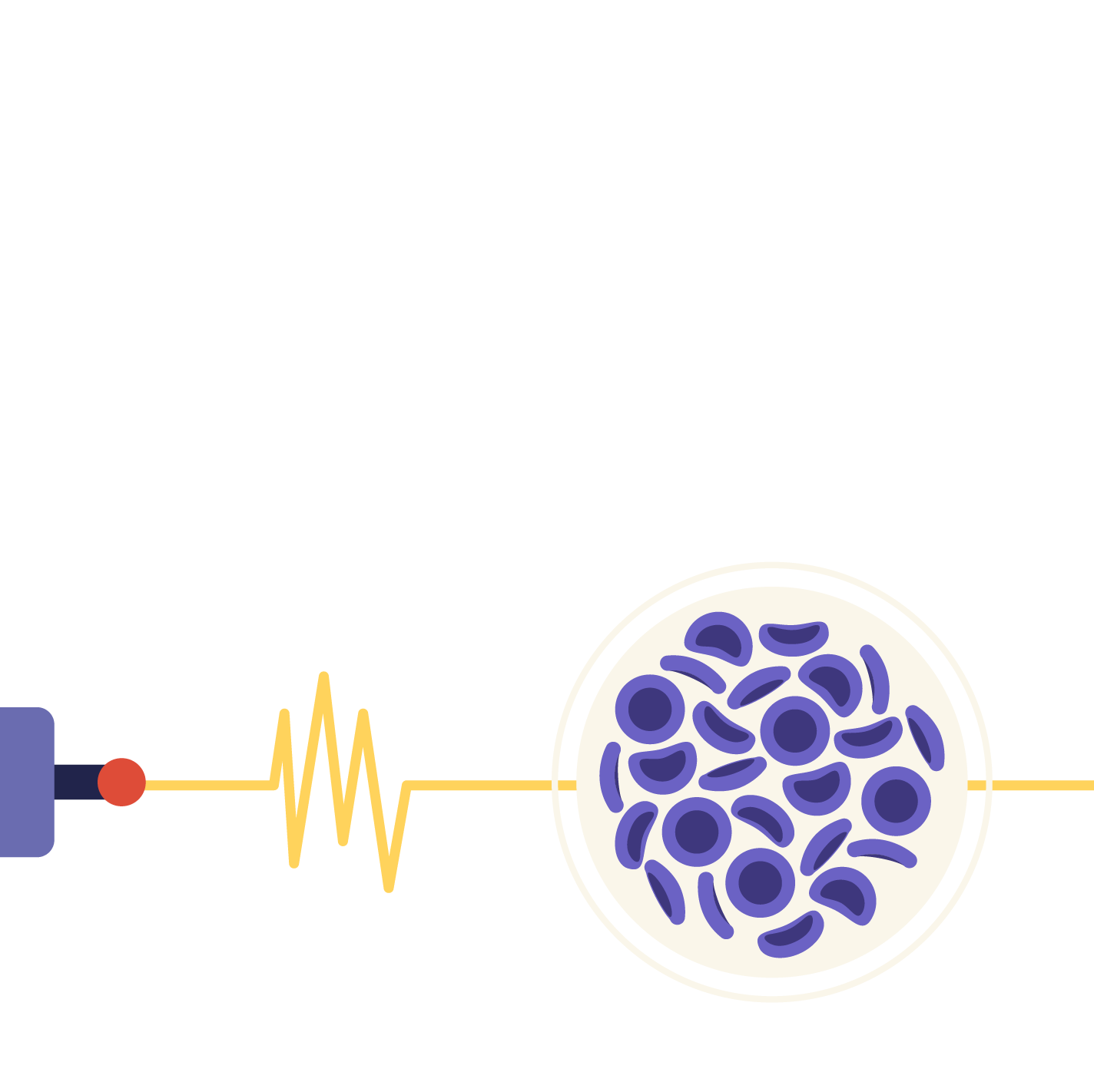 mid atlantic retina insurance